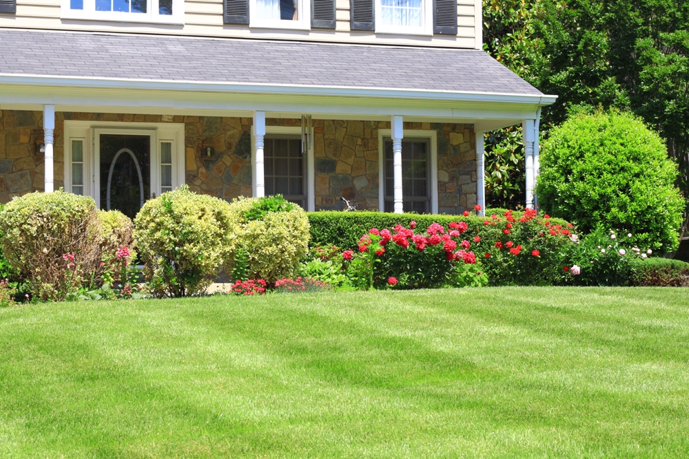 landscaping great benefits